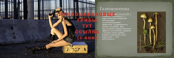 хмурый Карпинск