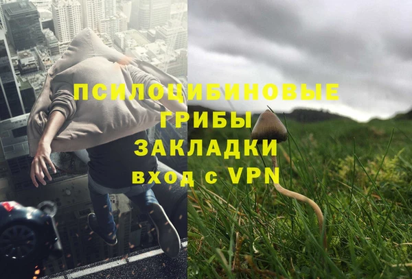 экстази Касимов