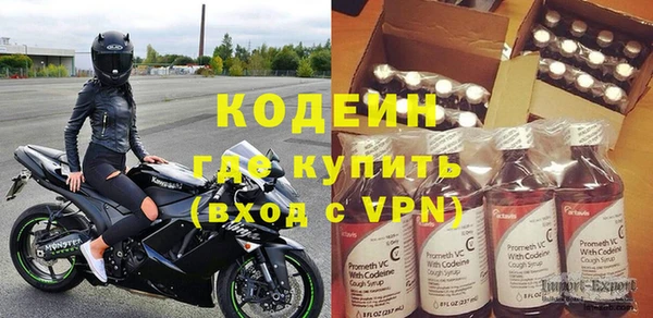 хмурый Карпинск