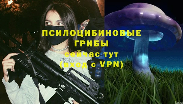 экстази Касимов
