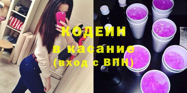 хмурый Карпинск
