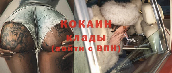 хмурый Карпинск